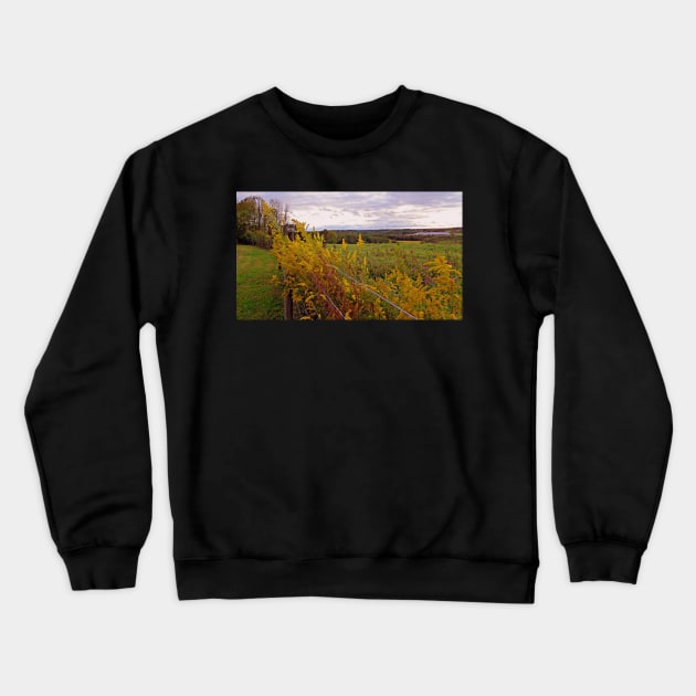 Fall Wildflowers Beautiful Autumn Season Peaceful Landscape Photograph Art Country Farmhouse Crewneck Sweatshirt by tamdevo1